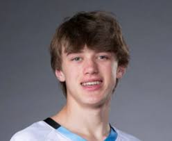 Boys lacrosse: See the Greater Lansing Dream Team and all-area