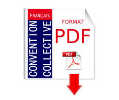 Convention collective particulier employeur retour à la convention collective particulier employeur salarié du particulier employeur que prévoit déjà le code du travail ? Convention Collective Salaries Du Particulier Employeur Idcc 2111 Brochure Jo 3180