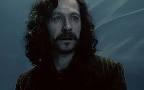 Sirius Black And Remus Lupin But What We If Were In Love With Each Other Sirius Black Harry Potter Movies Harry Potter Wiki