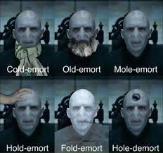 Voldemort Meme Harry Potter Jokes Harry Potter Puns Harry Potter Memes Hilarious