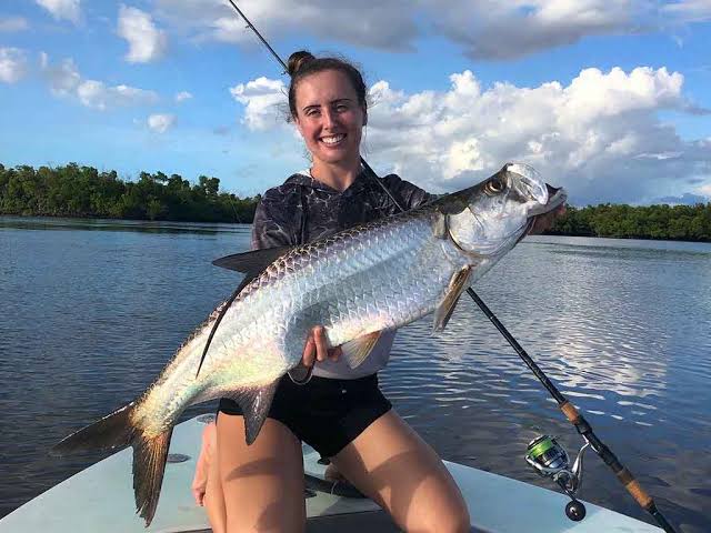 What Is a Tarpon Fish?