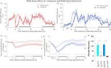 Image result