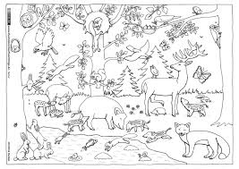 Ausmalbild viele tiere / kostenlose ausmalbilder tiere: Die 12 Besten Ideen Zu Stockwerke Des Waldes Wald Grundschule Stockwerke Des Waldes Waldschule