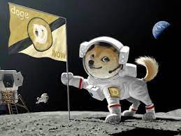 A dogecoin whale could be lurking back in february, elon musk own dogecoin wsj reported that a dogecoin whale owned about 28% of elon musk. Elon Musk S Dogecoin Tweets Investigated By Sec The Independent