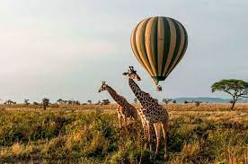 Kenia, oficialmente la república de kenia (en suajili: Safari Karibu Quenia E Tanzania