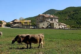 A patio with mountain views is offered in all units. Casa Rural Para Bodas O Eventos Casas Pirineo