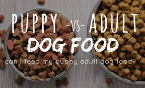 Can Puppies Eat Adult Dog Food Puppy Vs Dog Nutrition What You Need To Know