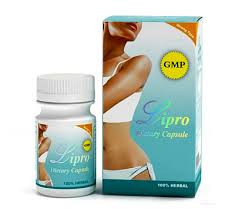 Lipro Dietary Capsule 1st Generation 27 79 Leptin Green Coffee 800 Acai Berry Capsules Best Share Green Coffee Dream Body Old Component Slimming Hula Hoops Neck Line Exerciser Anti Cellulite Massage