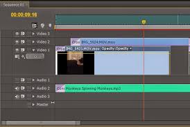 Name your project, and then change text alignment: Split Screen Video In Adobe Premiere Student Multimedia Design Center
