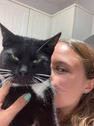 Adopted pet's first week home