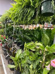 Wholesale supplier to the trade. Baisch And Skinner Kansas City Home Facebook