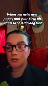 #furbabymom #dogsoftiktok #pitbullsoftiktok 😂🤣❤️❤️❤️ @Patton