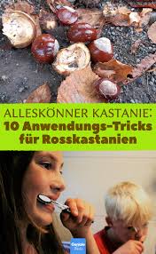 Alleskonner Kastanie 10 Anwendungs Tricks Fur Rosskastanien Haushaltsreinigungstipps Tipps Gartenprodukte