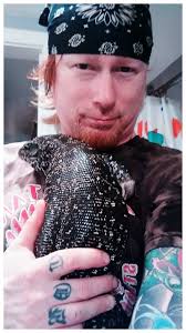 Toronto Ohio area Looking for tegu monitor I'll trade these 3 for one  monitor or tegu Info normal bearded dragon one black night Leo and king  snake