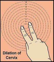 If you feel an opening in the cervix, this. Pin On Misterio De La Vida