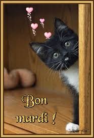 Bon mardi à toutes et tous !"