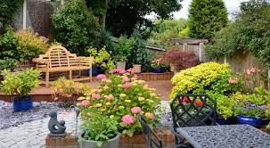For each, we've included planting, watering, fertilizing, and pruning tips for every gardening zone. Low Maintenance Garden Plants Blog Naturehills Com