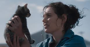 Guillermo del Toro's Pinocchio,' Netflix lead 50th Annie Awards nominations