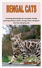 Bengal cats & kittens in uk. Buy Bengal Cats Everything About Bengal Cat S Care Guides Feeding Grooming Behavior History Housing Treats Training And How They Make Great Pets Book Online At Low Prices In India Bengal Cats