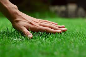 We did not find results for: How To Start A Lawn Care Or Landscaping Business