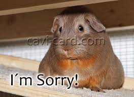 Bildergebnis für bilder sorry