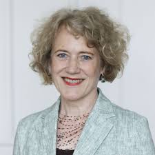 Demokratie Volksinitiative