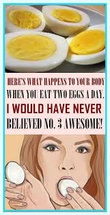 The BEST in the Blogging World