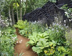 Rhs Chelsea Flower Show Show Garden Winner 2019 Andy Sturgeon In 2020 Chelsea Garden Chelsea Flower Show Flower Show