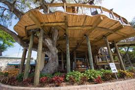 Dine In The Treetops At This Huge Tree House Restaurant In Florida New Smyrna Beach Florida Flagler Beach Florida Florida Restaurants
