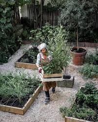 Beds In The Garden Beets Garden Beds Beets Cottageherbsgarden Garden Vegetable Garden Raised Beds Vegetable Garden Design Vegetable Garden Planner