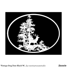 Black And White Birthday Cards Funny Vintage Stag Deer Black White Animal Postcard Zazzle Com Happy Birthday Fun Electronic Birthday Cards Happy Birthday Greeting Card