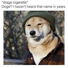 Elon Musk Elonmusk Twitter Animal Memes Funny Animal Memes Funny Dog Memes