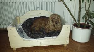 Hundesofa Bauanleitung Zum Selber Bauen Heimwerker Forum Hund Sofa Hundesofa Hunde
