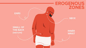 That's because it doesn't bear as much of the load of your body's weight and work as your lower back does. 31 Erogenous Zones How To Touch Them A Chart For Men Women