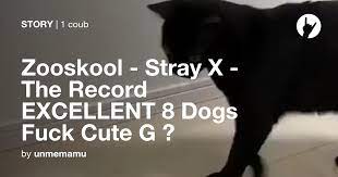 Stray x the record