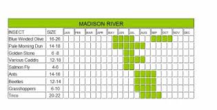 Madison River Hatch Chart
