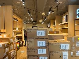 Image result for Sutera levis