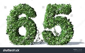 Read reviews from world's largest community for readers. Number 65 Alphabet Green Ivy Leaves Stock Illustration 271261484