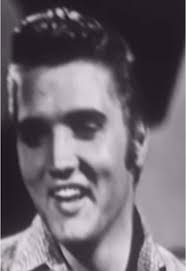 Don't Be Cruel: A Tribute to Elvis Presley