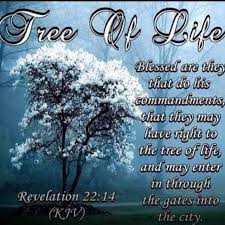  What Windows Mean In Dreams Revelation Bible Revelation 22 Revelation