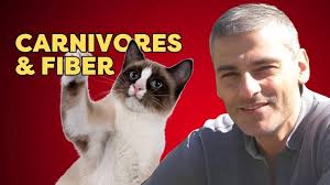 The Pet Food Science Podcast • by Wisenetix