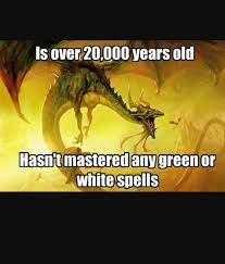 MTG Memes - Part 21 | MTG Amino