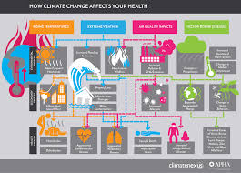 Climate Change And Your Health The Devastating Connection Infographic Climate Change Infographic Climate Change Effects Climate Change