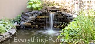 Check spelling or type a new query. Pond Designs Everything Ponds Com