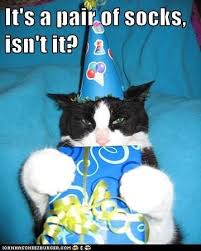 It S A Pair Of Socks Isn T It Cat Birthday Pet Holiday Crazy Cats
