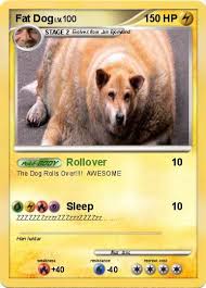 Fat doggos, los angeles, california. Best Doggo Trading Cards Doge Much Wow