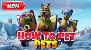 Skull trooper fortnite renegade raider wallpaper. Fortnite How To Pet Pets In Game Tutorial Petting Gameplay Showcase Dog Fox Dragon Update 8 40 Youtube
