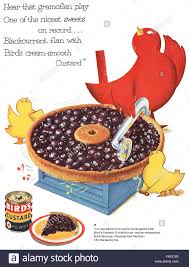 Birds Custard Powder Recipes Download This Stock Image 1957 British Advertisement For Bird S Custard Powder Rn3c89 From Alamy S Library Of Millions Of Bird S Custard Custard Retro Ads