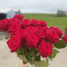 We are family owned and operated. Heaven Floral Design Home Facebook