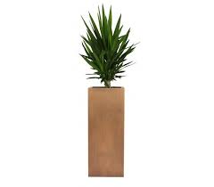 Check spelling or type a new query. 30 Copper Column Planter Customizable Commercial Residential Indoor Outdoor Diy Plants Decor Wood Planters Copper Planters